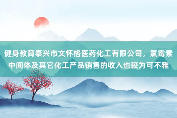 健身教育泰兴市文怀格医药化工有限公司，氯霉素中间体及其它化工产品销售的收入也较为可不雅